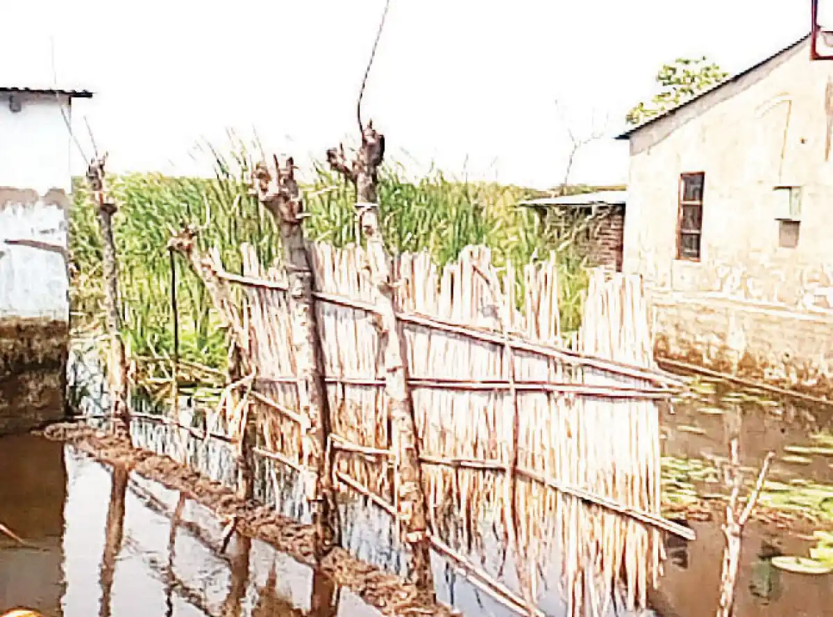 62% Malawians own substandard houses