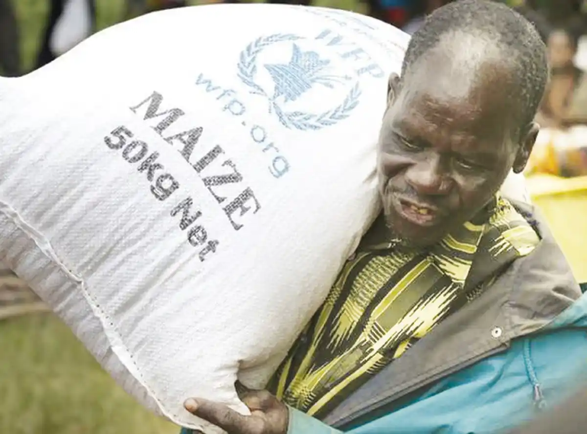 Admarc raises maize price to woo farmers