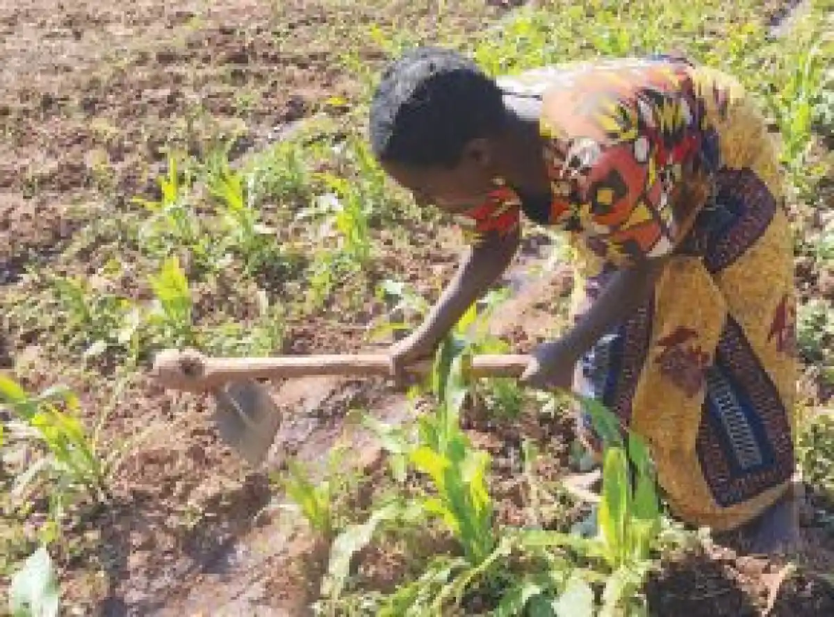 Communities turn to irrigation farming