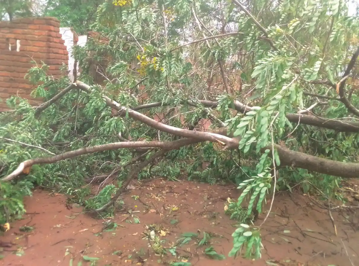 Cyclone Chido kills 2, hits 1,800 households