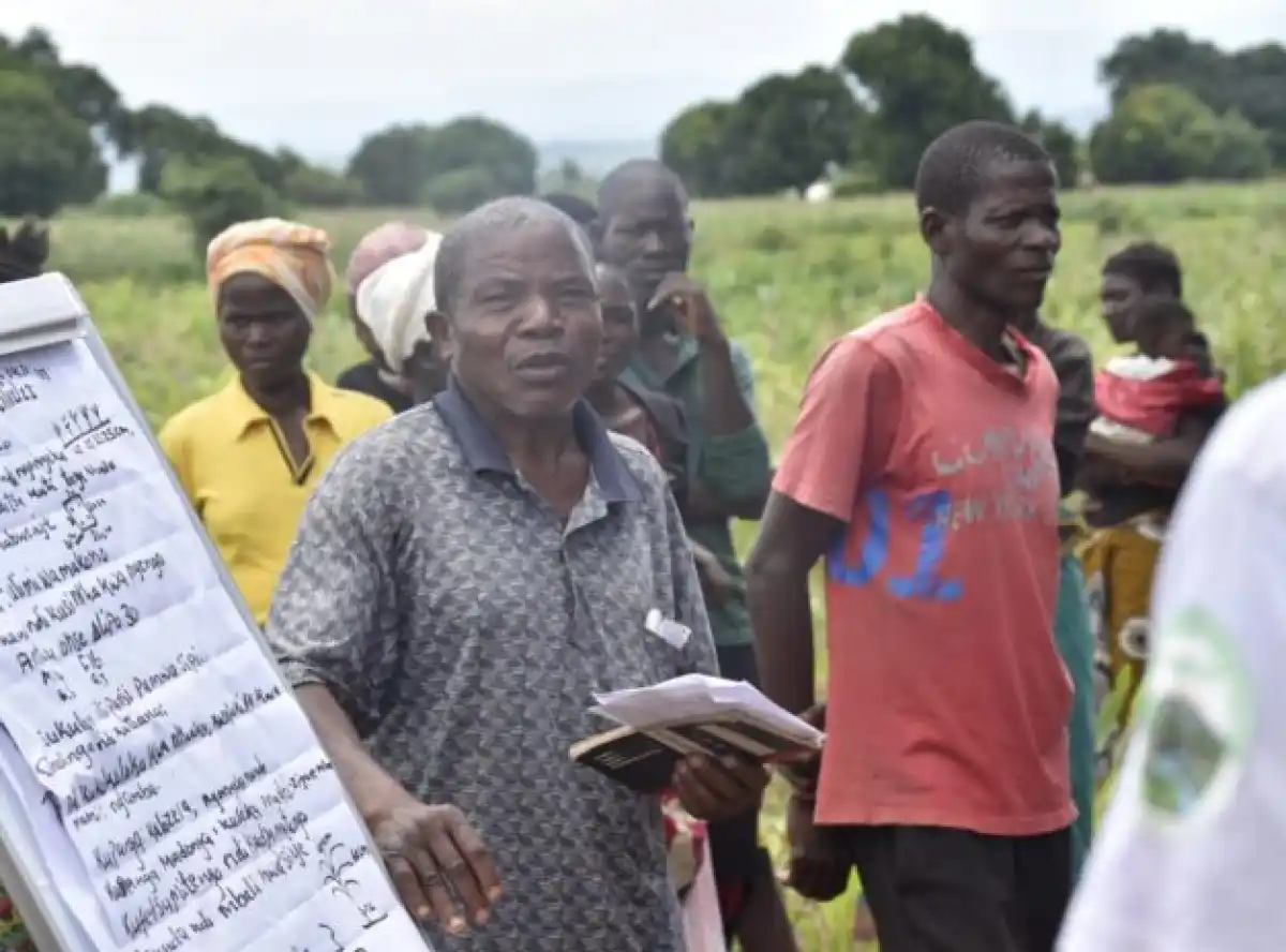 Farmers hail field school as a game changer