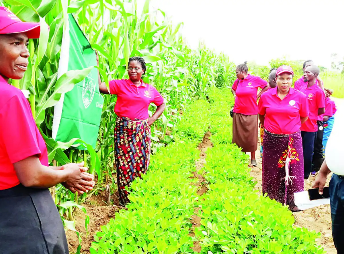 Farmers urged to adopt technology