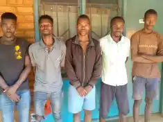 Five arrested for theft of Escom properties in Dowa