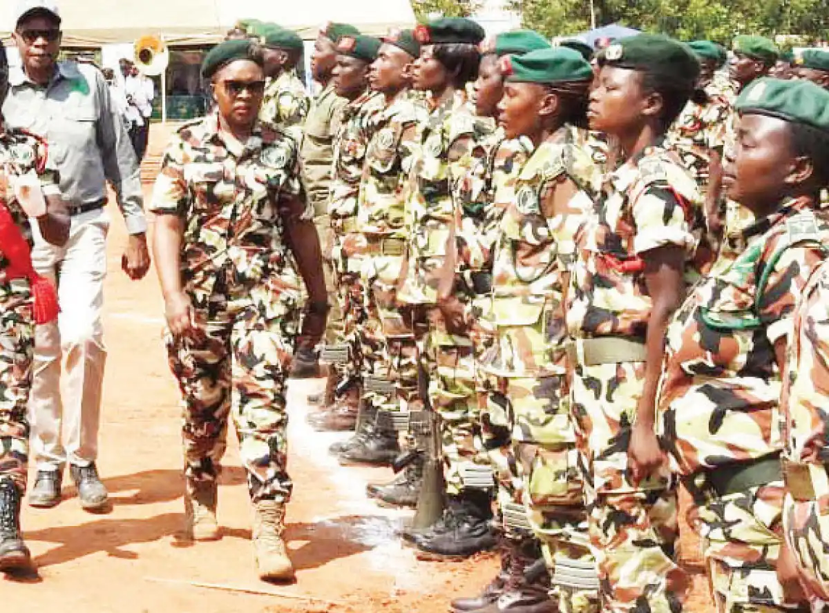 Government decries attacks on game rangers