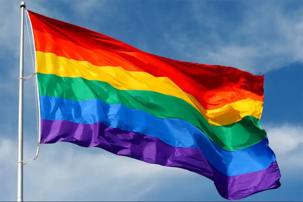 Law scholars dare Constitutional Court on LGBTQI judgment
