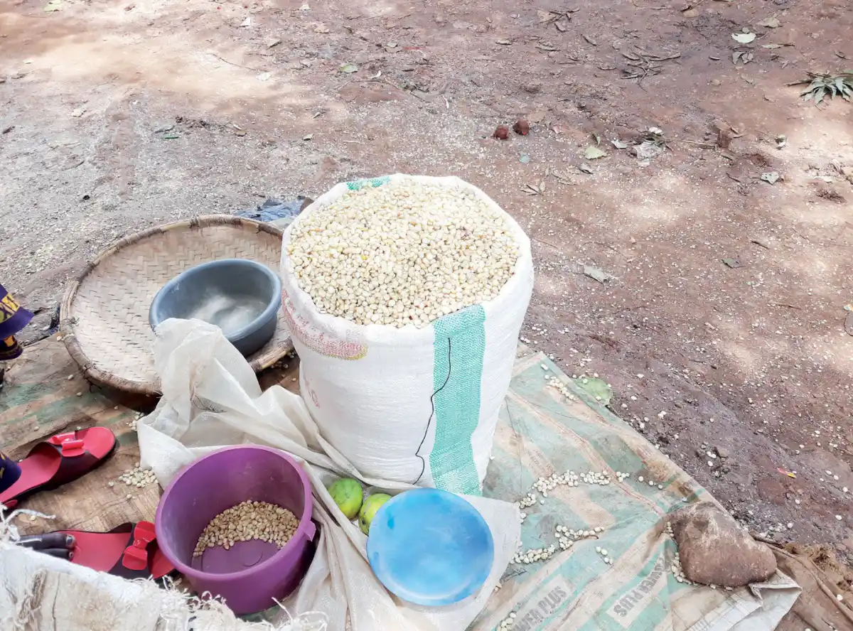 Maize prices highest in Southern Region