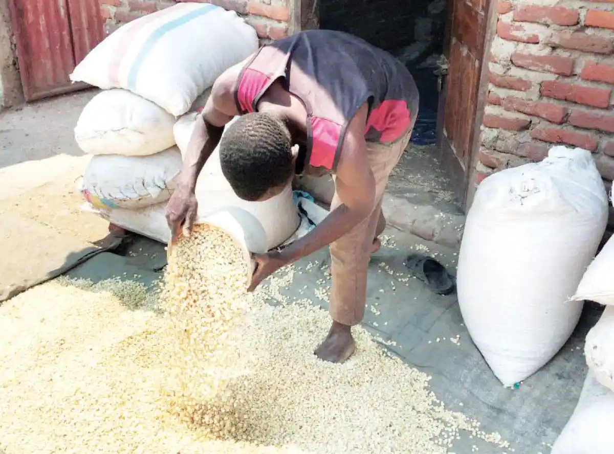 Maize prices soar 64.5% since April