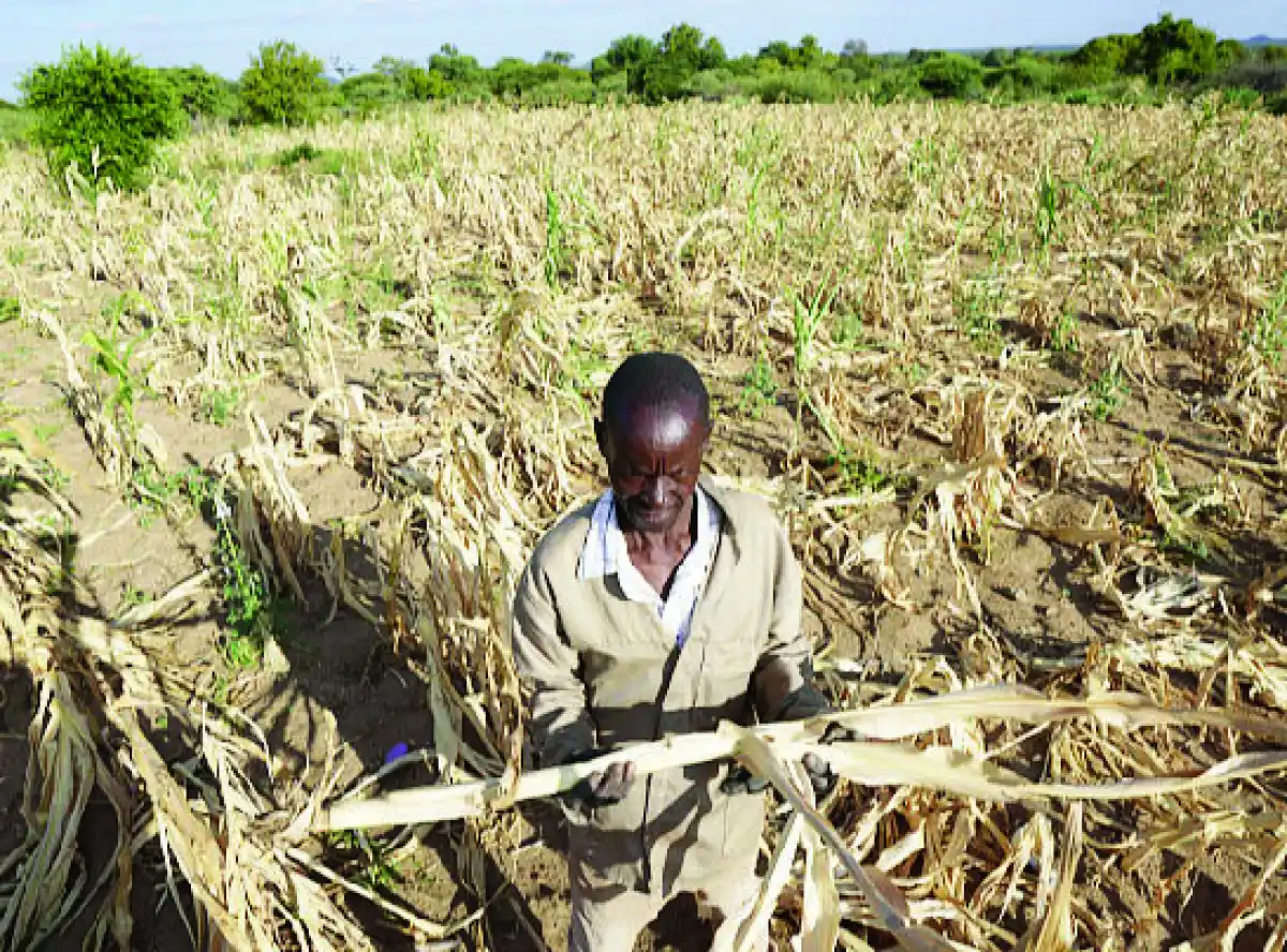 Malawi loses about K600 billion to El Niño