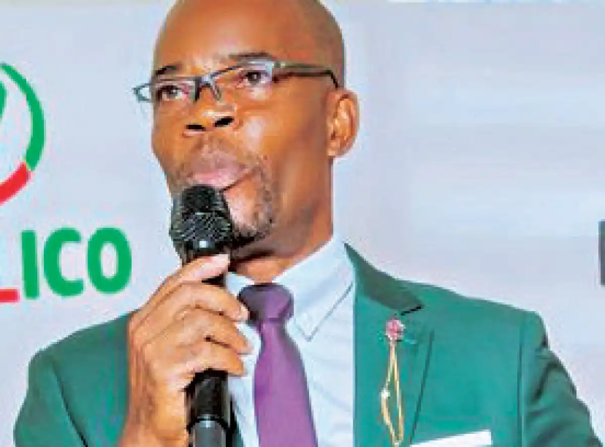 Malawi Stock Exchange listed telcos rebound in 2024