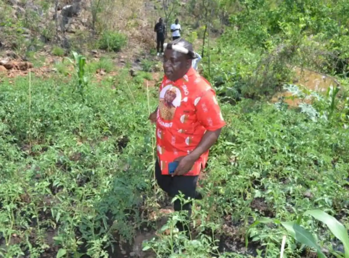 Moyo nkudya, moyo ndi nsima, tiyeni tilimbikitse ulimi- Ching’ani