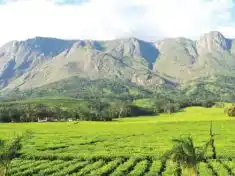 Mt Mulanje’s World Heritage Ambitions: A step closer to international recognition