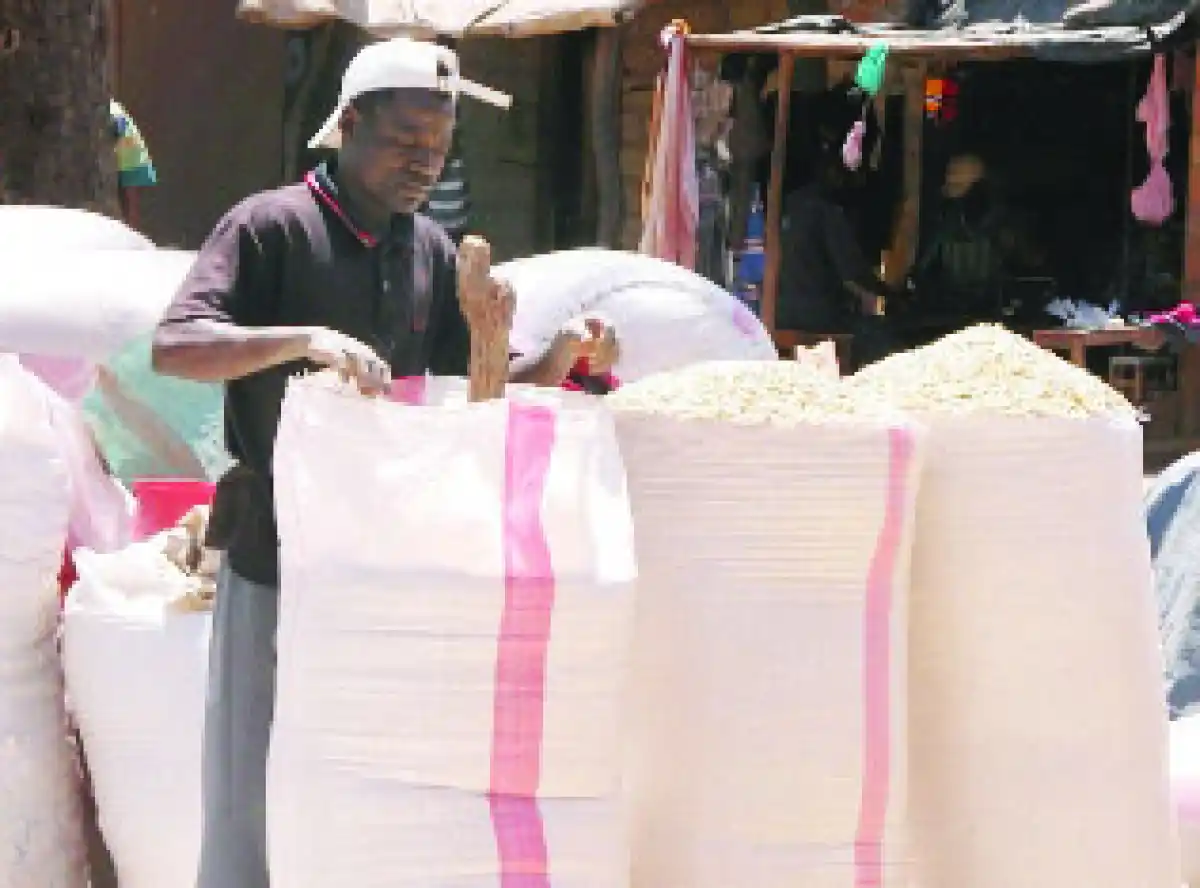 National Food Reserve Agency secures Tanzania maize under G2G deal