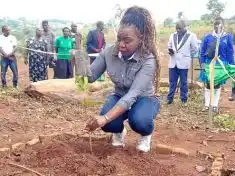 Old Mutual commits to sustainable tree-planting, as WESM warns against publicity stunts