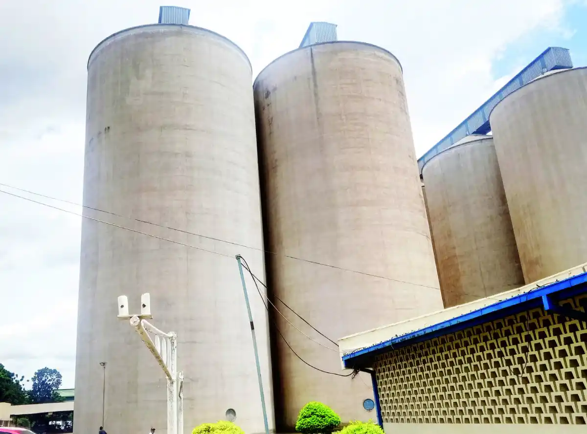 Parliament pushes for silos demolition