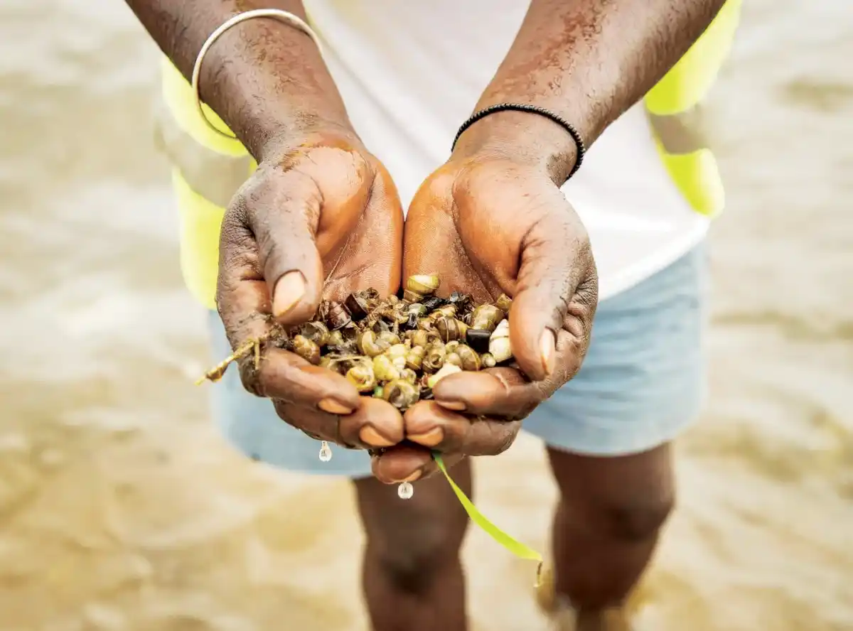 Research helps Mangochi community tackle bilharzia