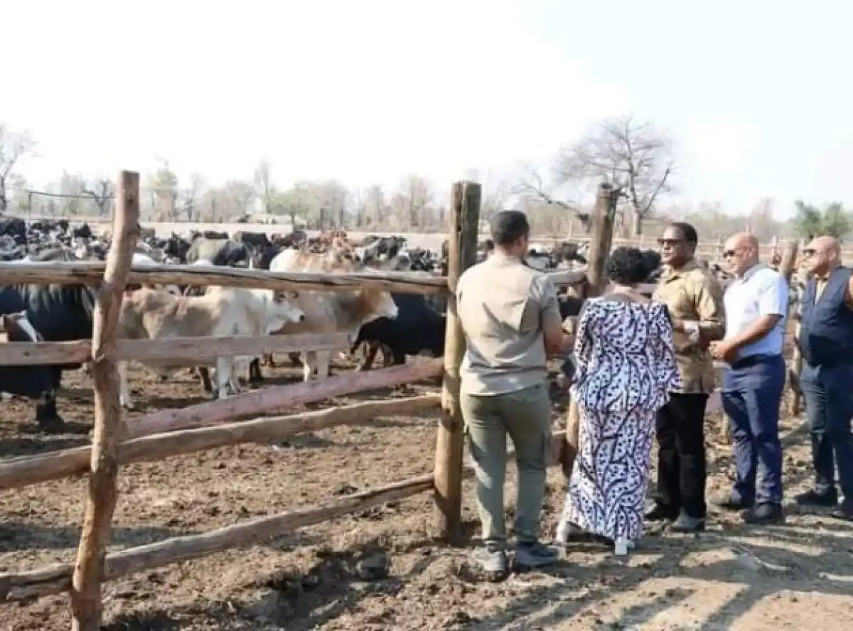 Sameer Suleman crashes President Chakwera for visiting Ngabu Cows