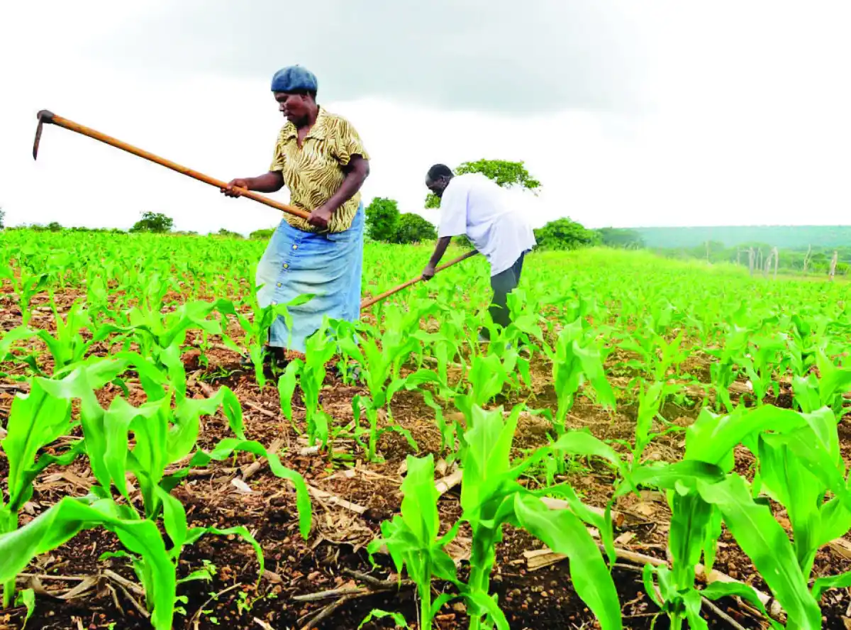 The African Union unveils $100bn agrifood investment plan up to 2035