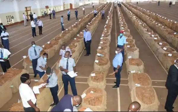 UTM decries tobacco industry woes